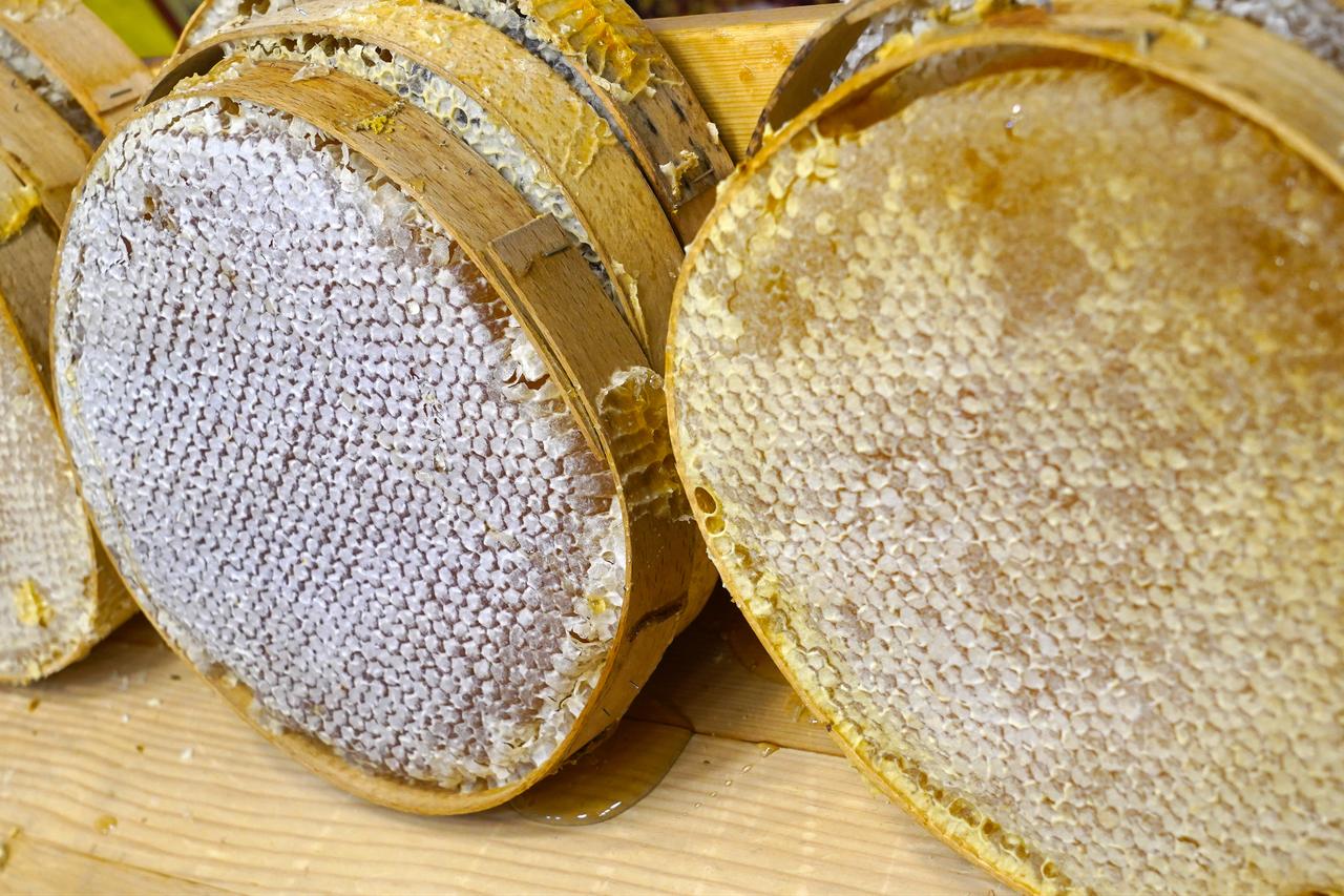 Close-up view of honeycomb during the honey harvesting process. (Adobe Stock Photo)