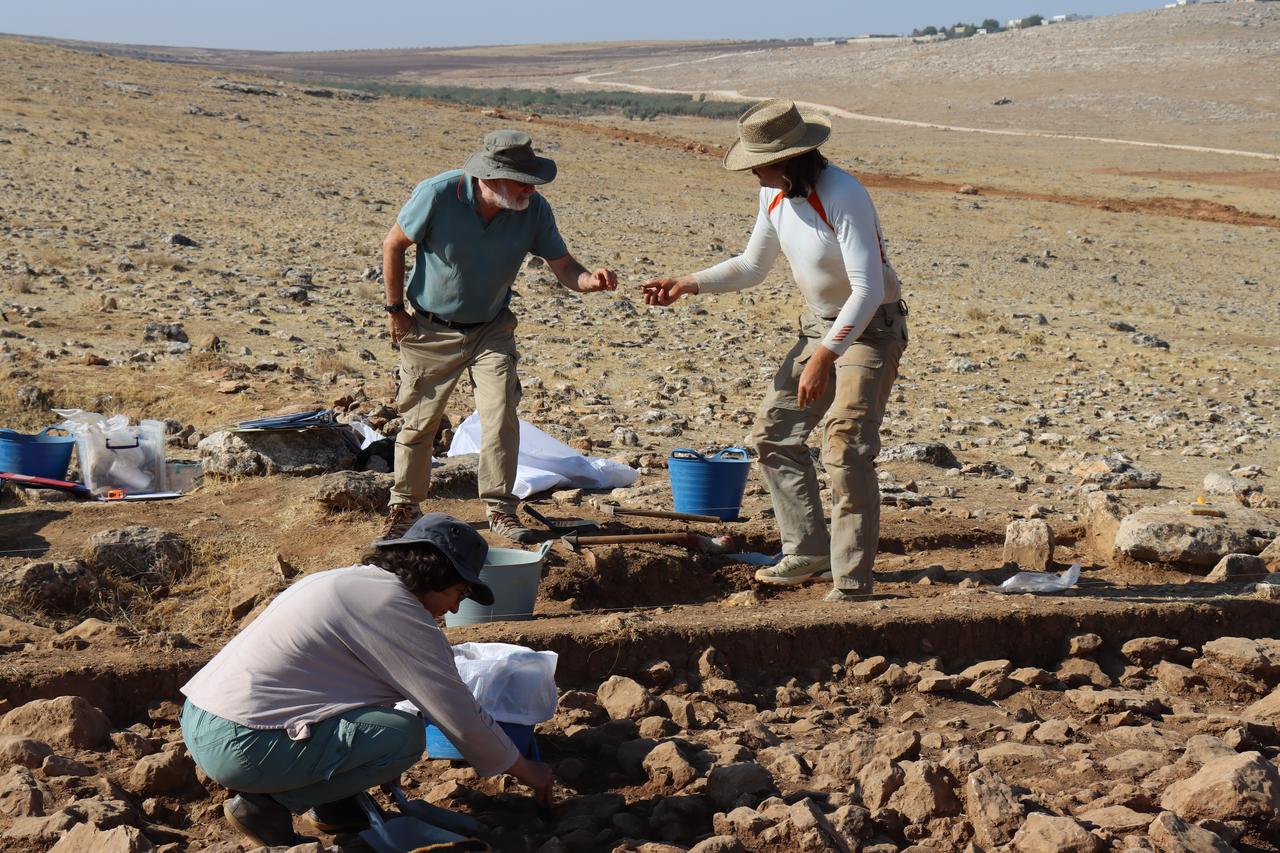 Archaeologists examine finds during excavations at Mendik Tepe under the leadership of Douglas Baird (Left) in Sanliurfa, Türkiye, Sept. 11, 2025. (AA Photo)