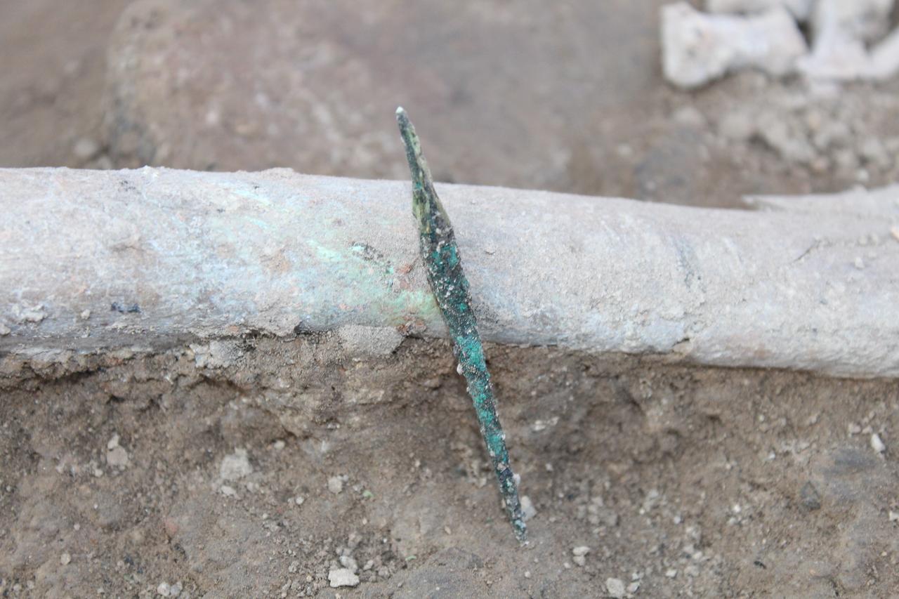 A bronze harpoon point discovered inside a burial at Ikiztepe Hoyuk in Samsun, Türkiye, Sept. 16, 2025. (AA Photo)