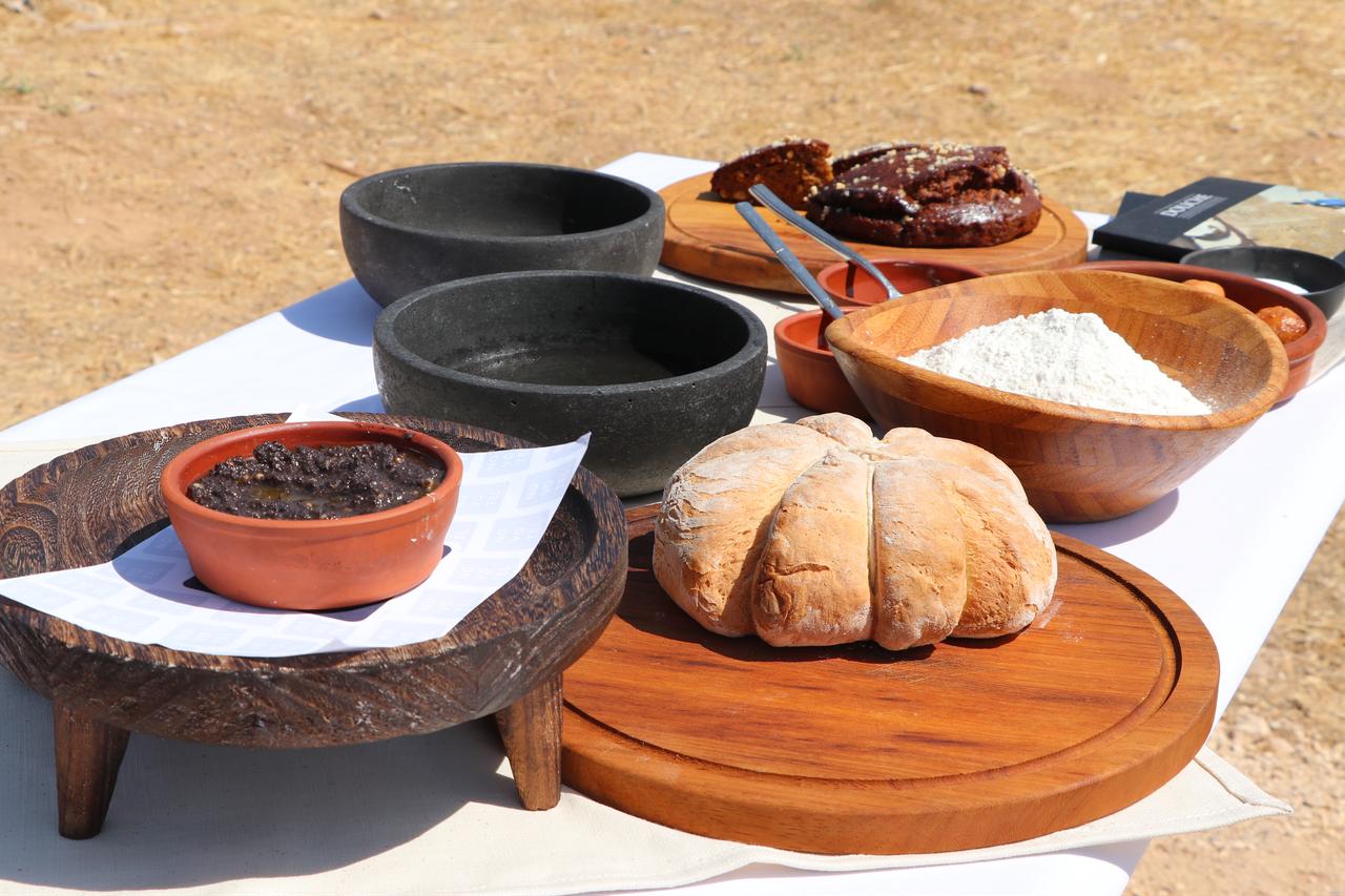 Ancient foods like Pompeii Bread, Olivatum (Olive Paste), Libum (Honey Cake), Globuli (Honey Cheese Cake), and Dulcia Piperatta (Honey Cake), identified during excavation works at Duluk Ancient City in Gaziantep, are being recreated. (AA Photo)