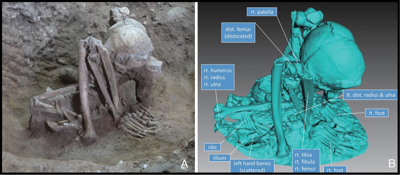 M26, a tightly flexed human burial from Huiyaotian, Guangxi, southern China, shown with excavation photo (A) and 3D reconstruction (B). (Image via PNAS, Hung et al. 2025)