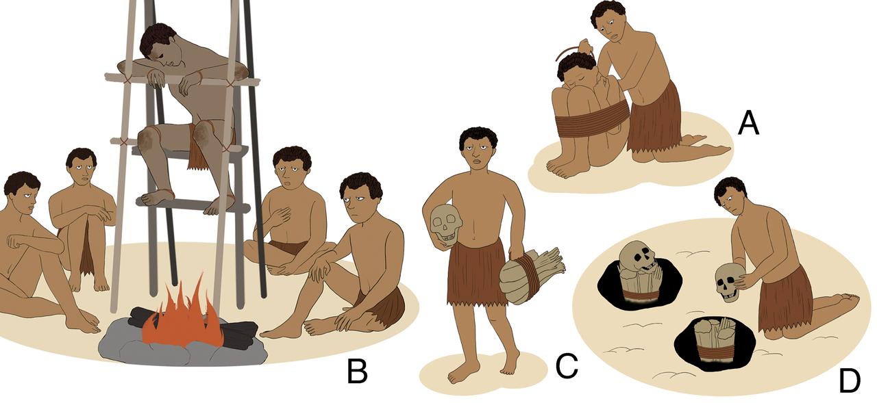 Illustration of prehistoric smoke-drying mummification, reconstructed from archaeological evidence and ethnographic parallels in Papua, showing preparation, smoking, and burial stages. (Image via PNAS, Hung et al. 2025)