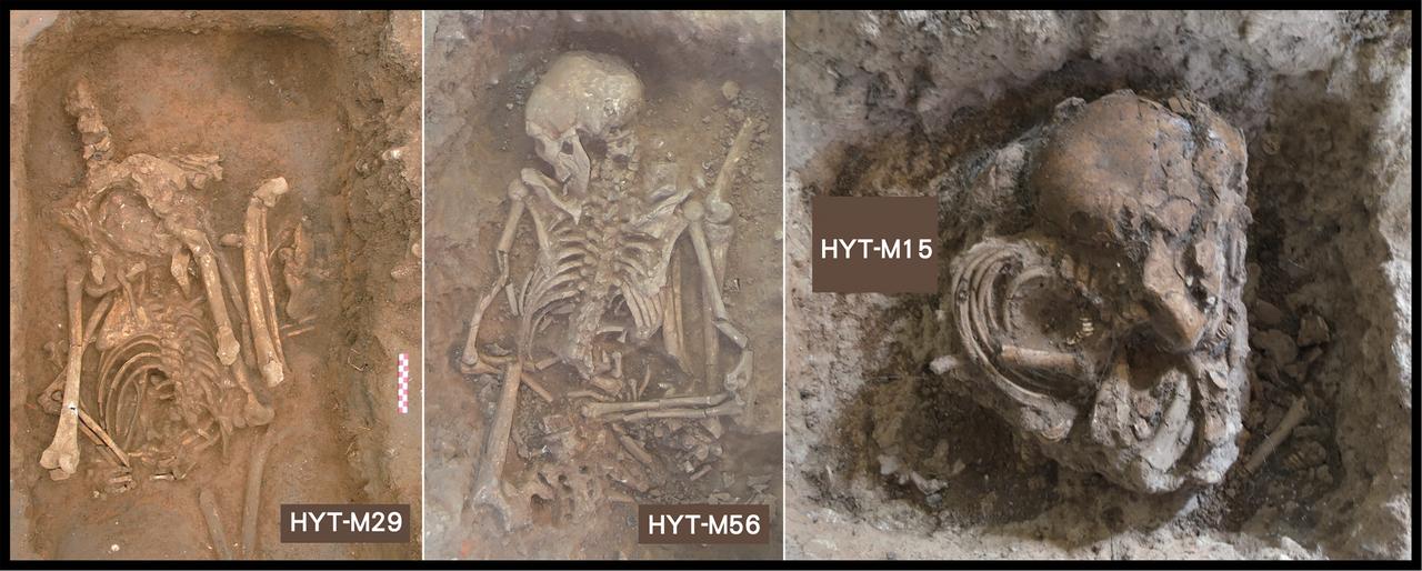 Examples of burials from Huiyaotian (HYT), Guangxi, southern China: HYT-M29 (adult female), HYT-M56 (adult male), and HYT-M15 (child), showing anatomically impossible orientations and compacted bones. (Image via PNAS, Hung et al. 2025)