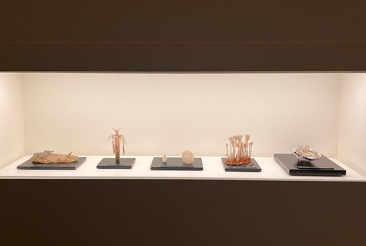 Natural specimens and organic forms displayed in dialogue with Iris van Herpen’s couture, Rotterdam, Netherlands, September 26, 2025. (Photo by Selin Hacialioglu/Türkiye Today)