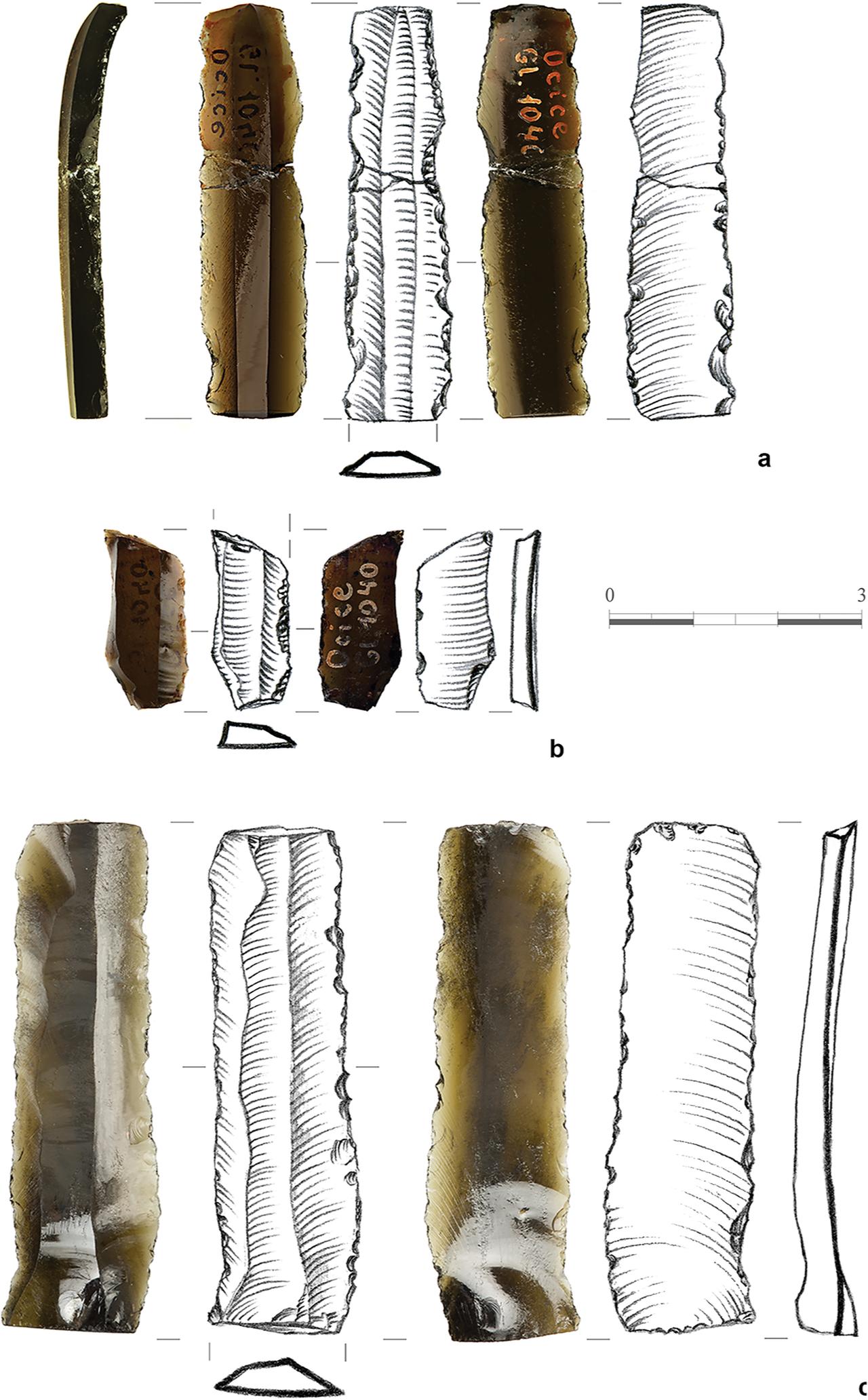 Obsidian artefacts from Raciborz-Ocice (a, b) and Silesia (c), including photographs and drawings. Items a and b photographed by M. Jórdeczka, item c by M. Osiadacz; drawings by E. Guminska. (Image via European Journal of Archaeology)