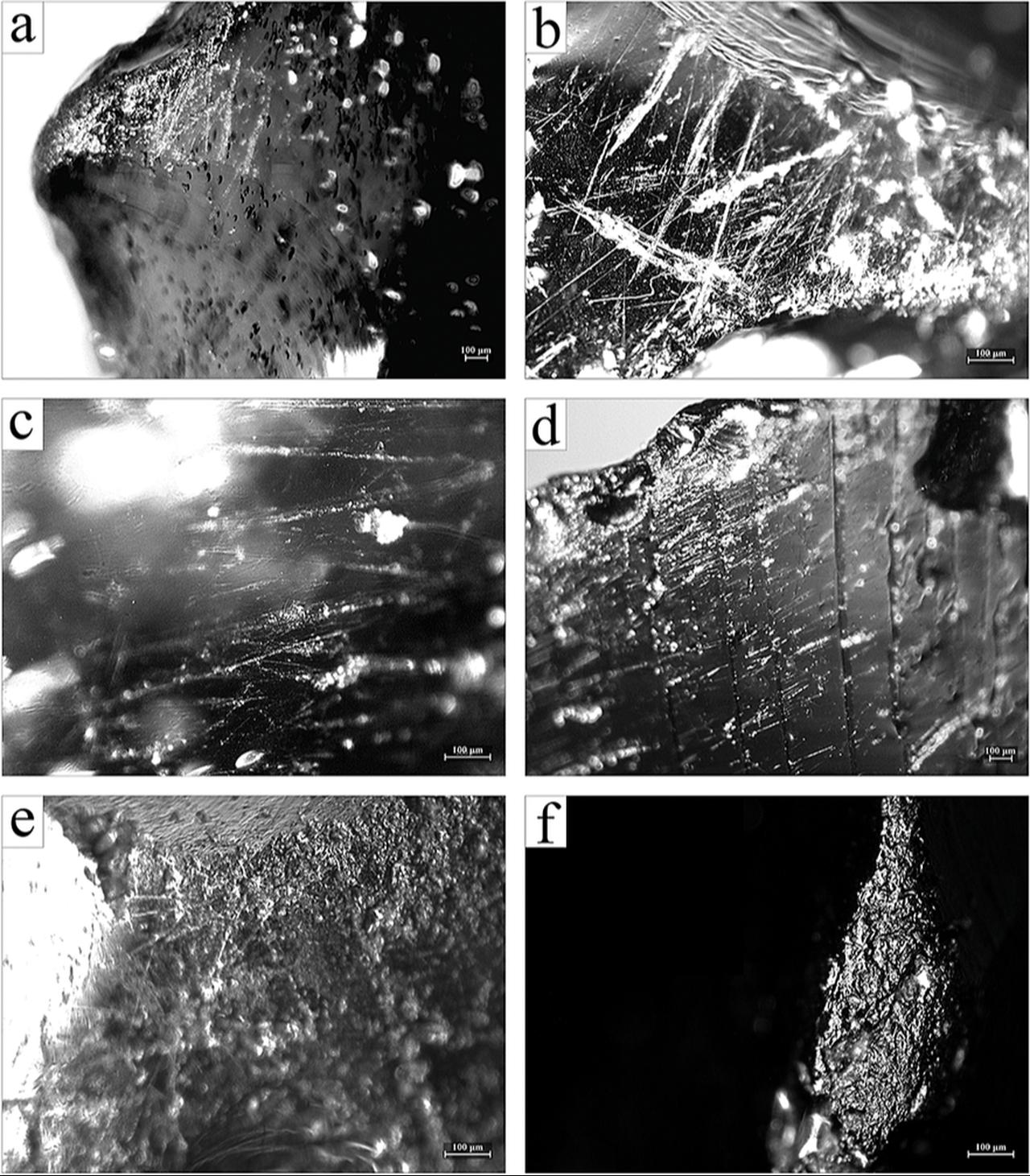 Blade from Silesia showing wear traces from use and hafting, analysed under microscope. (Photo via European Journal of Archaeology)