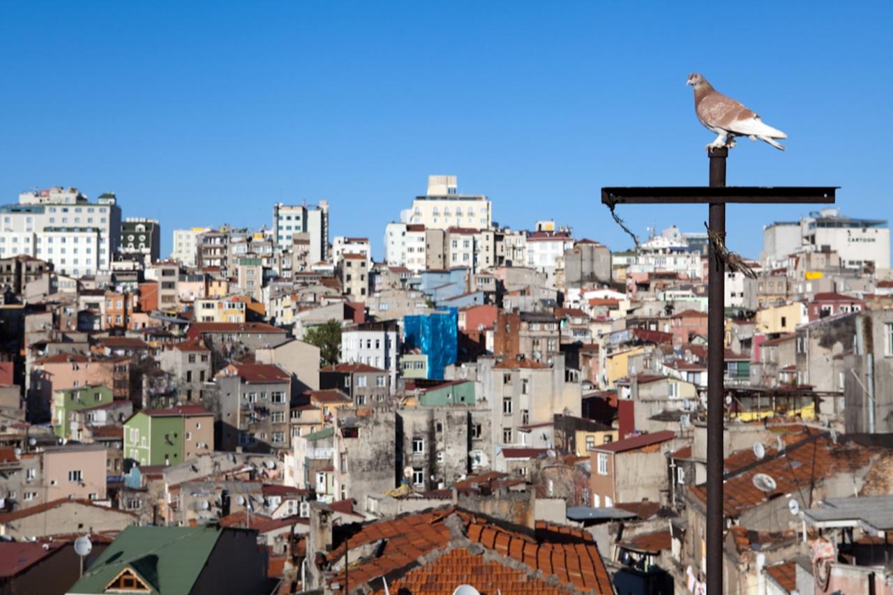 In the photo landscape of Tarlabasi, a neighborhood located close to one of the countrys most popular tourist destinations such as Taksim. (Photo via Jonathan Lewis)