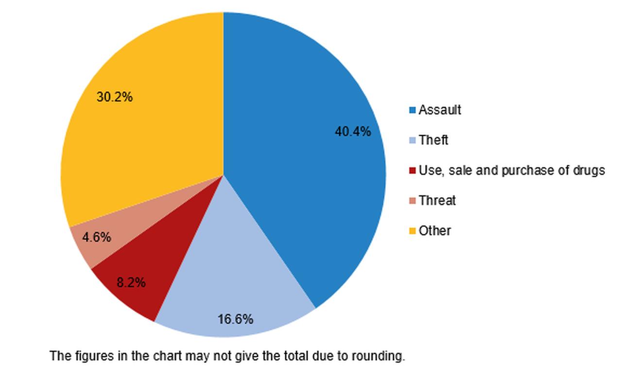 Distribution of juveniles pushed into crime by type of offence being charged (%), 2024. (Chart via TurkStat)