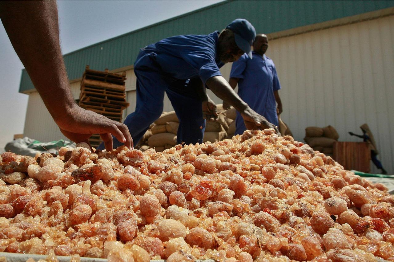 How gum arabic’s shadow trade fuels Sudan conflict