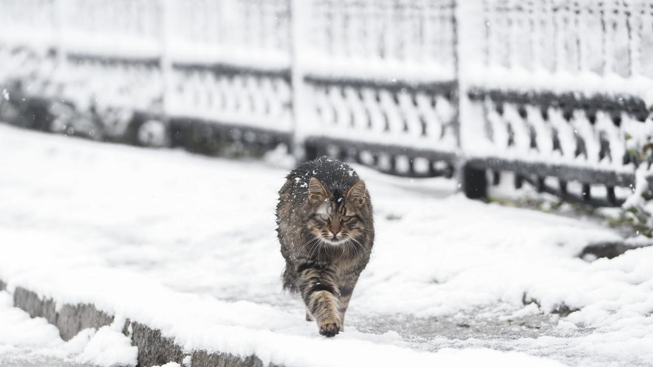Snowfall grips Istanbul as schools close, emergency response activates