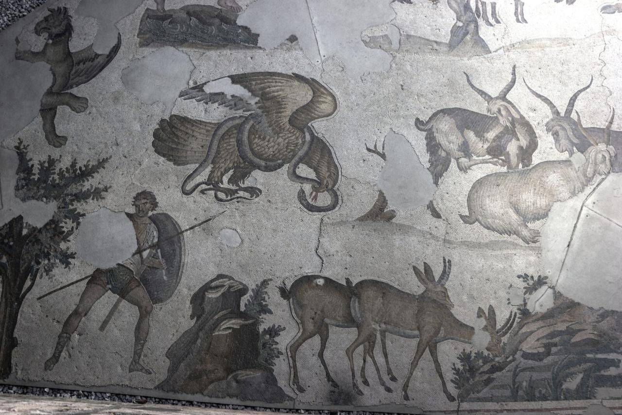 Hunting scene with an eagle fighting a snake at the Great Palace Mosaic Museum, Istanbul, Türkiye. (Photo via Turkish Archaeonews)