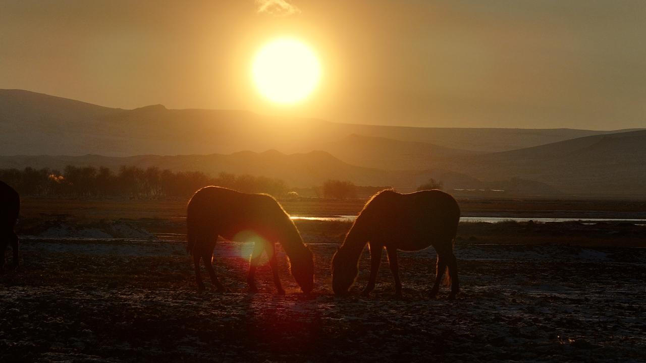 Untamed majesty on slopes of Mount Erciyes