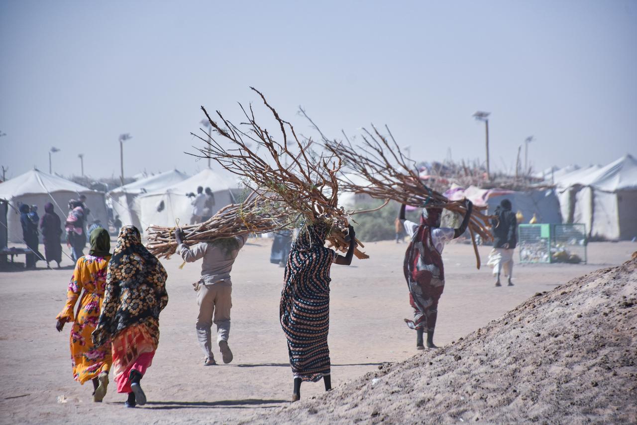 Al Afad camp hosts displaced people from the Darfur and Kurdufan regions, primarily from Fashir, the capital of North Darfur state in al-Dabbah, Sudan on January 13, 2026. (AA Photo)