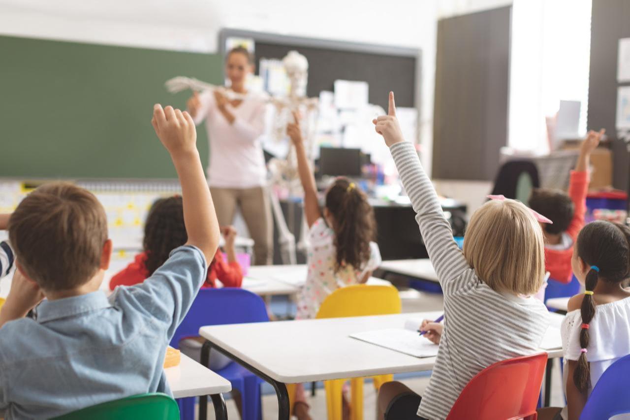 File photo shows primary school students actively engaging in a classroom lesson. (Adobe Stock Photo)