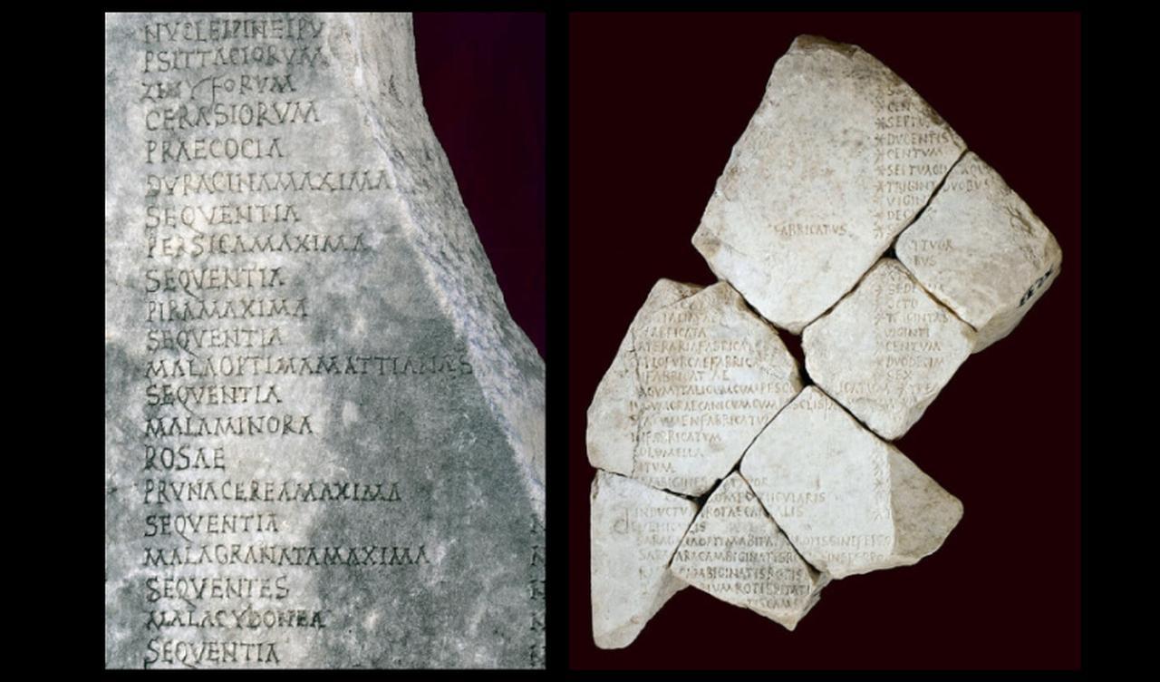 The Edict of Diocletian at ancient city of Aphrodisias in Aydin, Türkiye. (Photo via Aphrodisias Excavations Archive)