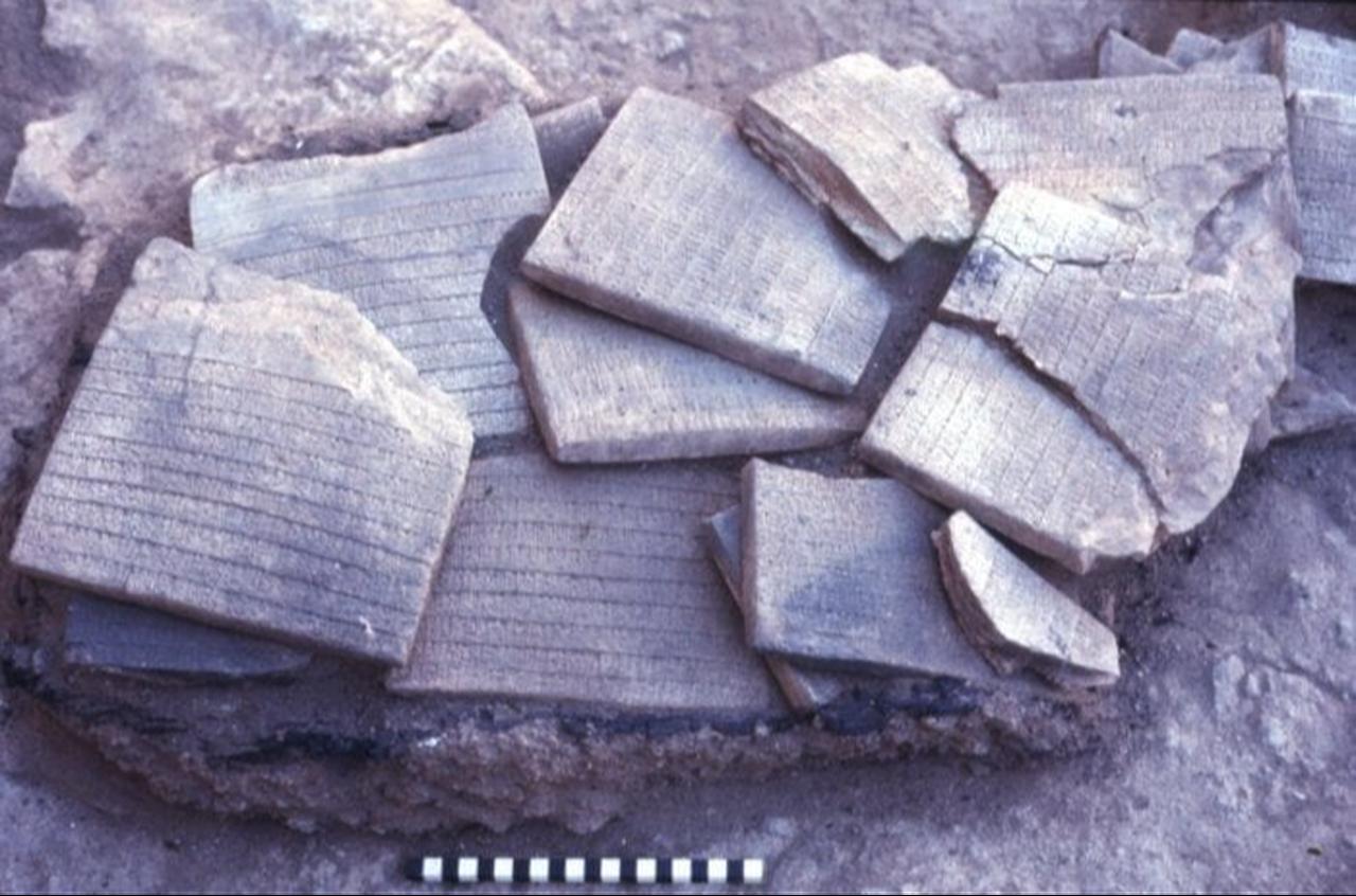 Cuneiform tablets discovered during archaeological excavations at the ancient city of Ebla in northwestern Syria. (Photo via History of Information)