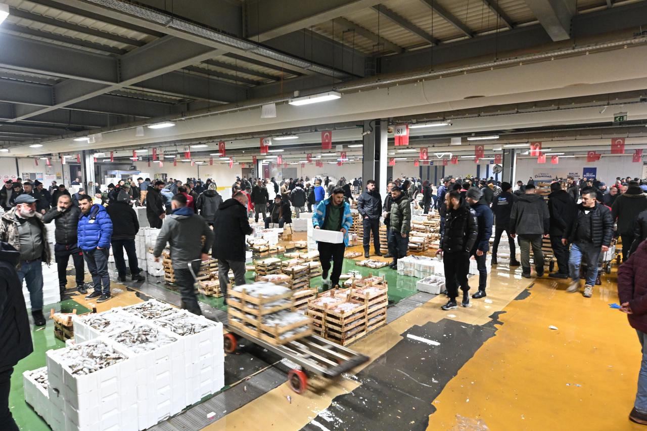 Increased torik landings created a busy scene at the Beylikduzu Gurpınar Fisheries Market in Istanbul. January 25, 2025. (AA Photo)