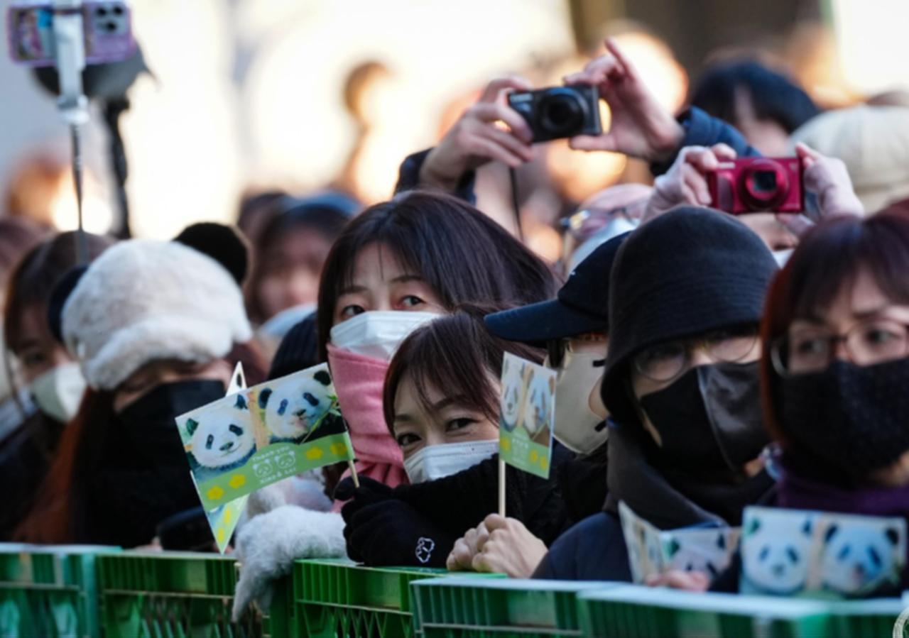 Visitors saying goodbye to the pandas in Japan, Jan 25, 2025 (Photo via Instagram / @chinaxinhuanews)