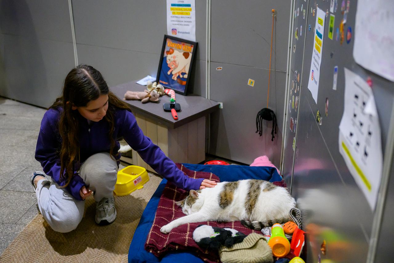 Kanyon, a stray cat that lives at the entrance of an Istanbul shopping mall, is stroked by a young girl as he lays in his basket, in Istanbul, on January 23, 2026. ( AFP Photo )