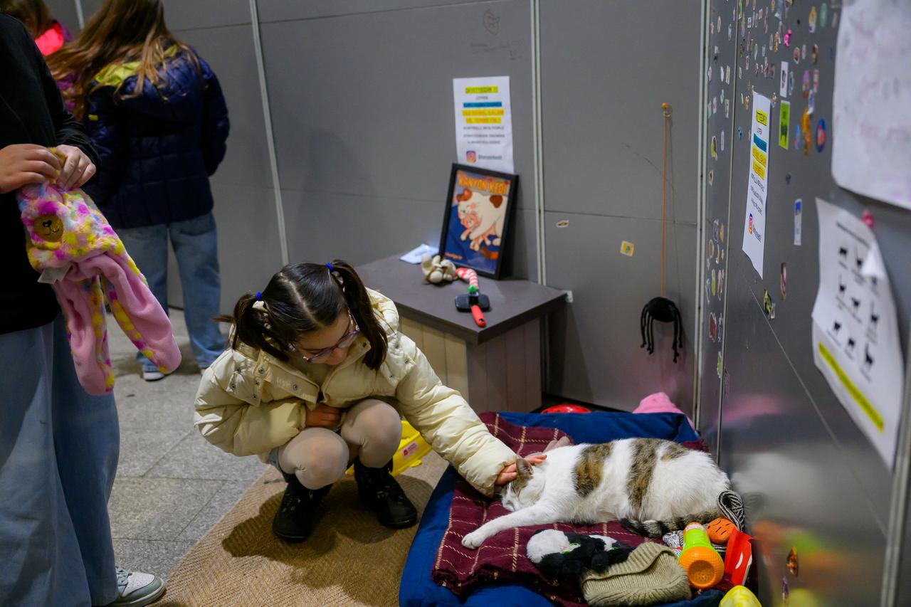 Kanyon, a stray cat that lives at the entrance of an Istanbul shopping mall, is stroked by a young girl as he lays in his basket, in Istanbul, on January 23, 2026.( AFP Photo )