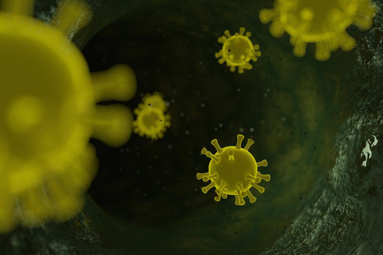 Could Nipah virus be the next Covid?