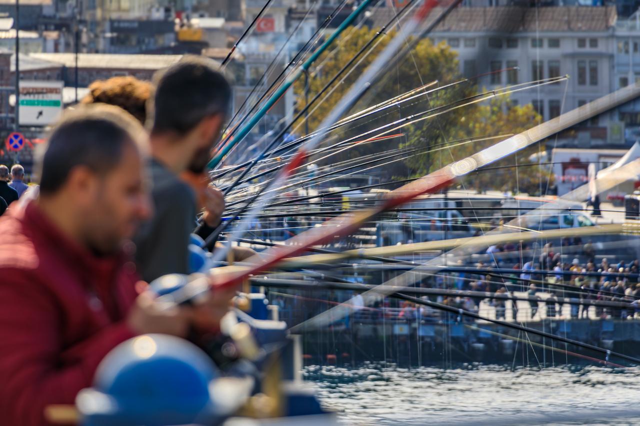 Türkiye hits lowest unemployment in 20 years