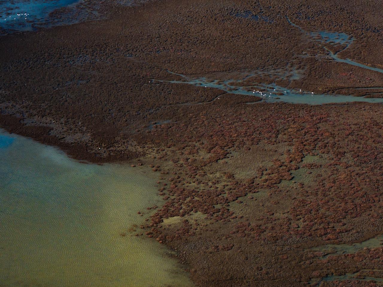 An aerial photo shows one of Türkiye's most important wetlands, the Gediz Delta which is under threat to its biodiversity due to pollution in the Gediz River that feeds the delta and drought linked to global climate change in Izmir, Türkiye, Jan. 30, 2026. (AA Photo)