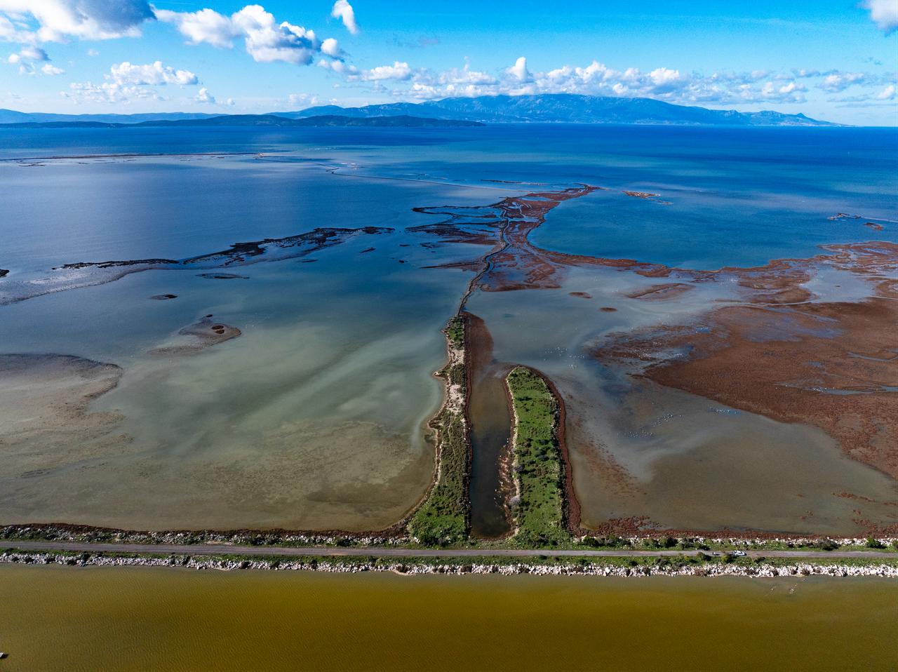 An aerial photo shows one of Türkiye's most important wetlands, the Gediz Delta which is under threat to its biodiversity due to pollution in the Gediz River that feeds the delta and drought linked to global climate change in Izmir, Türkiye, Jan. 30, 2026. (AA Photo)
