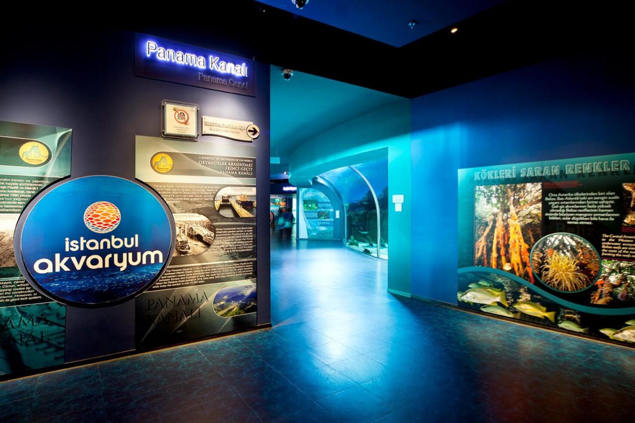 A themed corridor inside Istanbul Akvaryum introduces visitors to the Panama Canal zone, blending marine ecosystems with global maritime history and geographic storytelling. (Photo via Istanbul Akvaryum)