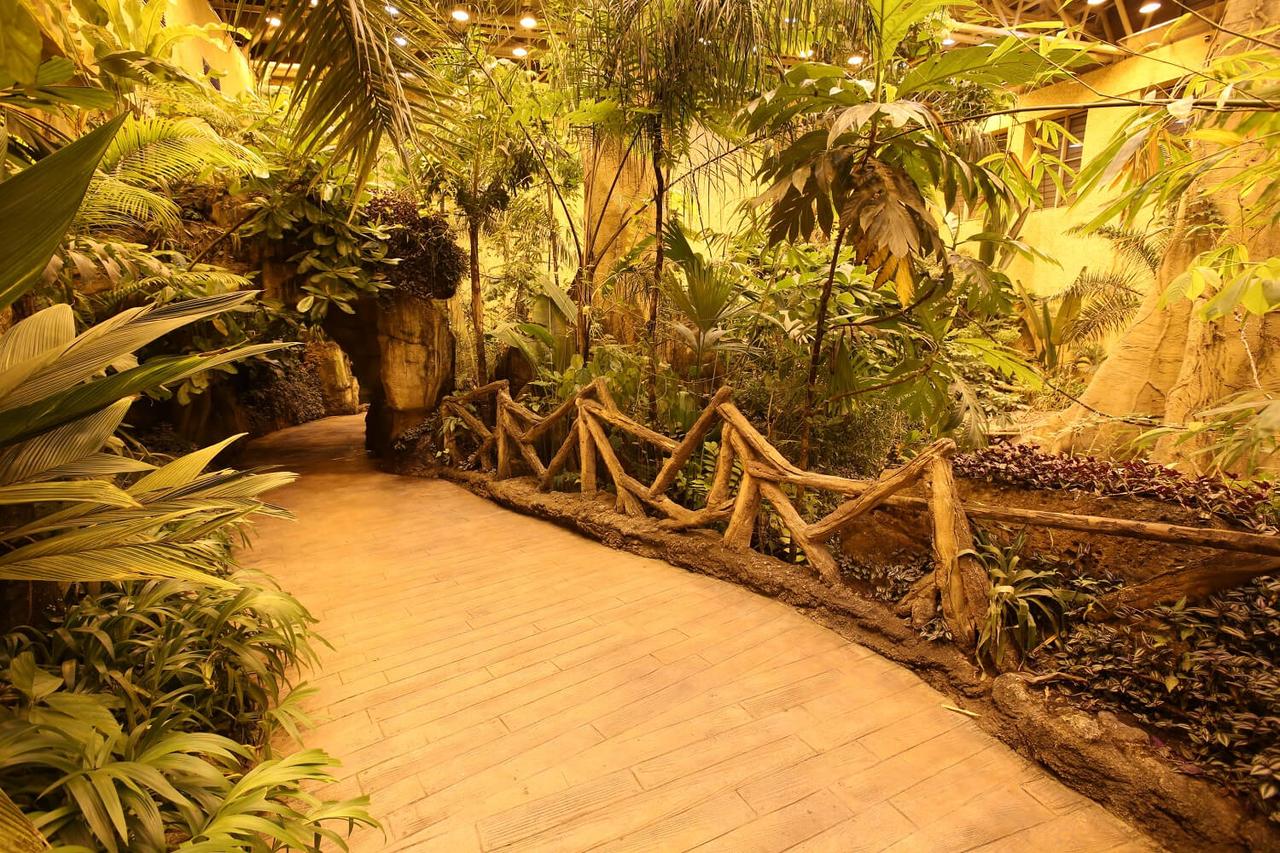 The Amazon Rainforest section at Istanbul Akvaryum recreates a tropical ecosystem with dense vegetation, controlled humidity, and climate conditions, highlighting the vital connection between terrestrial and aquatic environments. (Photo via Istanbul Akvaryum)