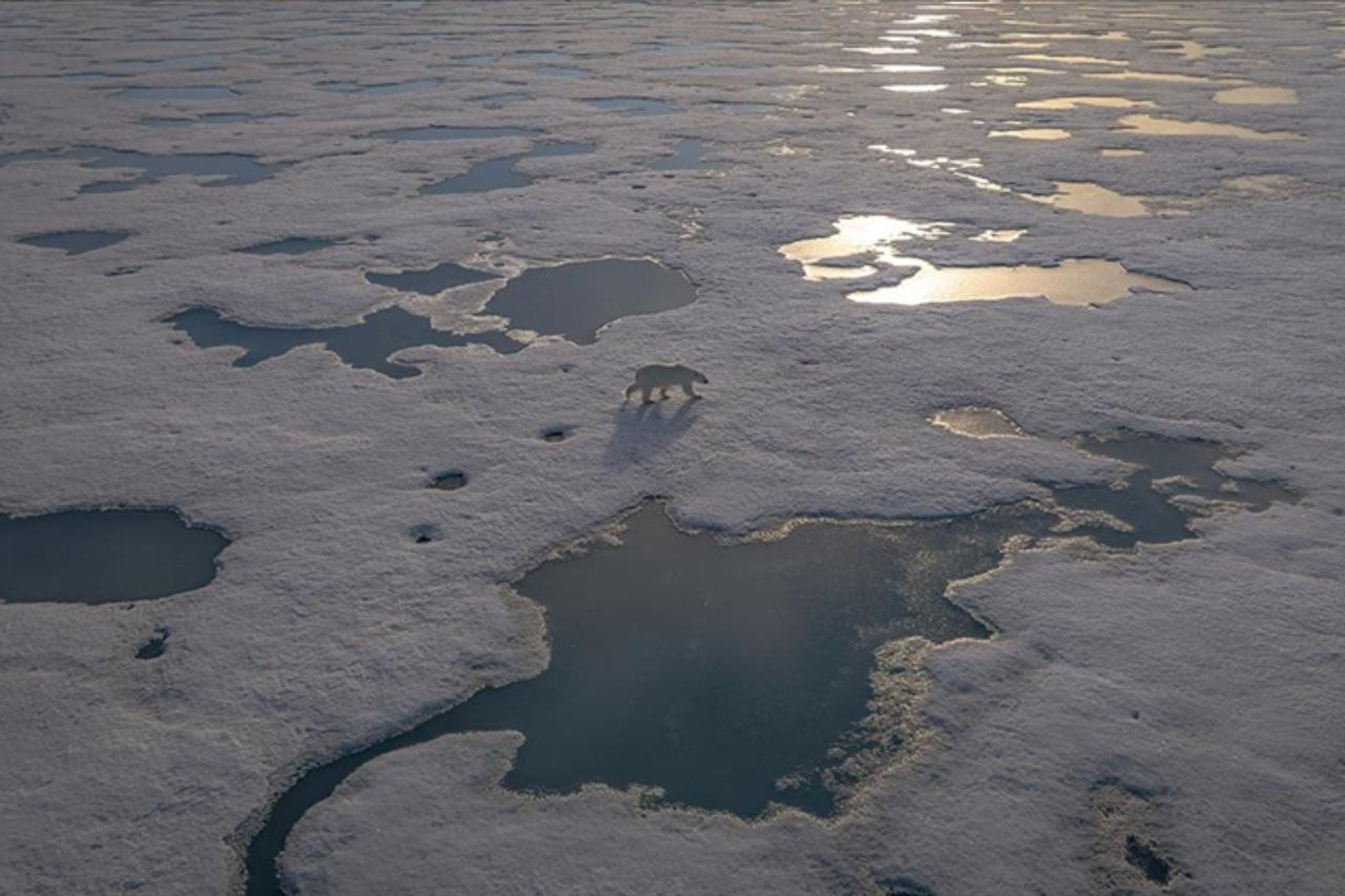 ‘Extreme melting’ episodes accelerate ice loss in Arctic