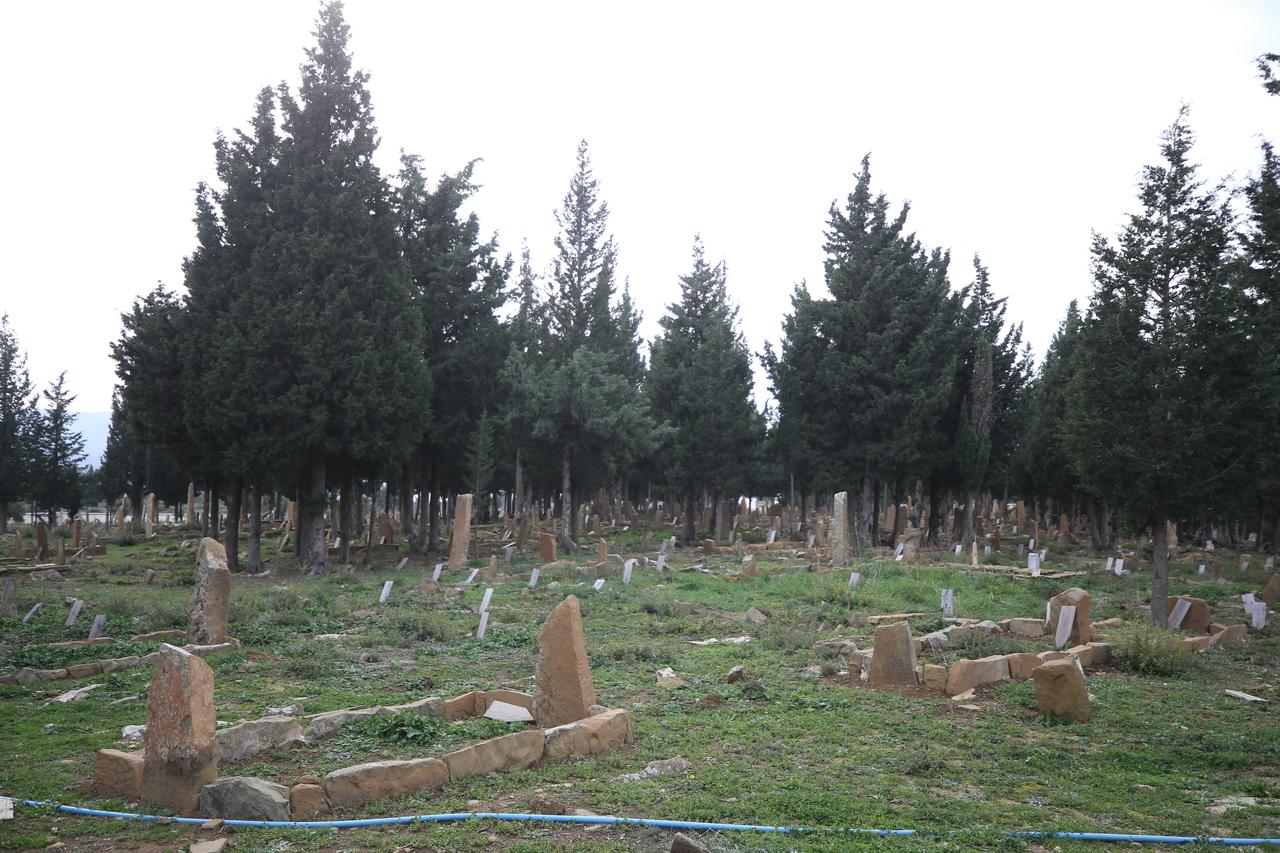 Gravestones stand among cypress trees at a medieval Turkish cemetery in Kucukanafarta village on the Gallipoli Peninsula in Canakkale, Türkiye, January 7, 2026. (AA Photo)