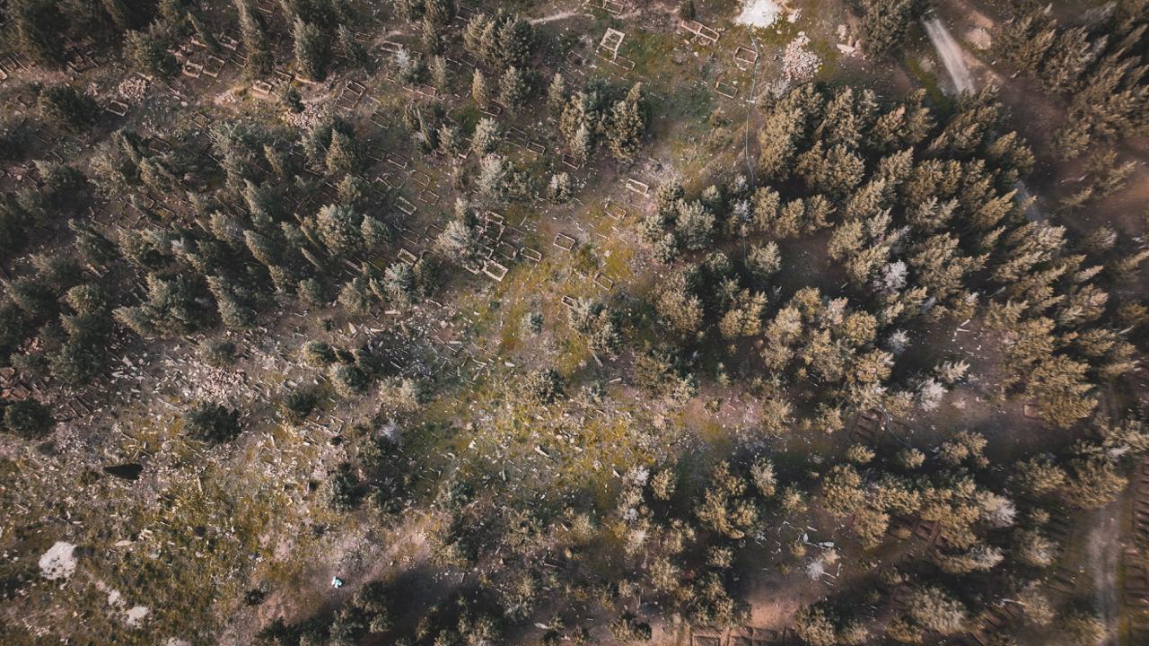 A wide aerial view shows the forested layout of the historic Turkish cemetery on the Gallipoli Peninsula in Canakkale, Türkiye, January 7, 2026. (AA Photo)