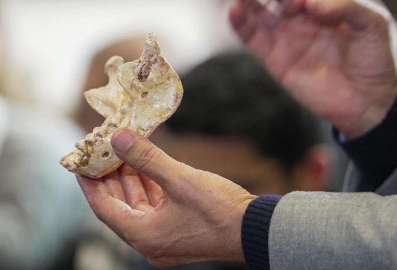 A press seminar on new archaeological discoveries of human fossils found in Casablanca, January 6, 2025. ( AA Photo )