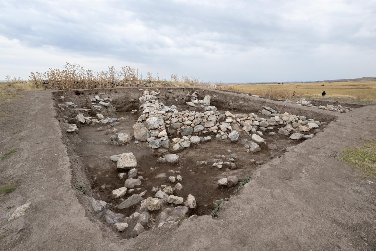 A 66-million-year-old marine fossil and a 4,000-year-old love flower seed unearthed during excavations at Kulhoyuk shed light on the region's natural and cultural history in Golbasi district of Ankara, Türkiye on September 23, 2026. (AA Photo)
