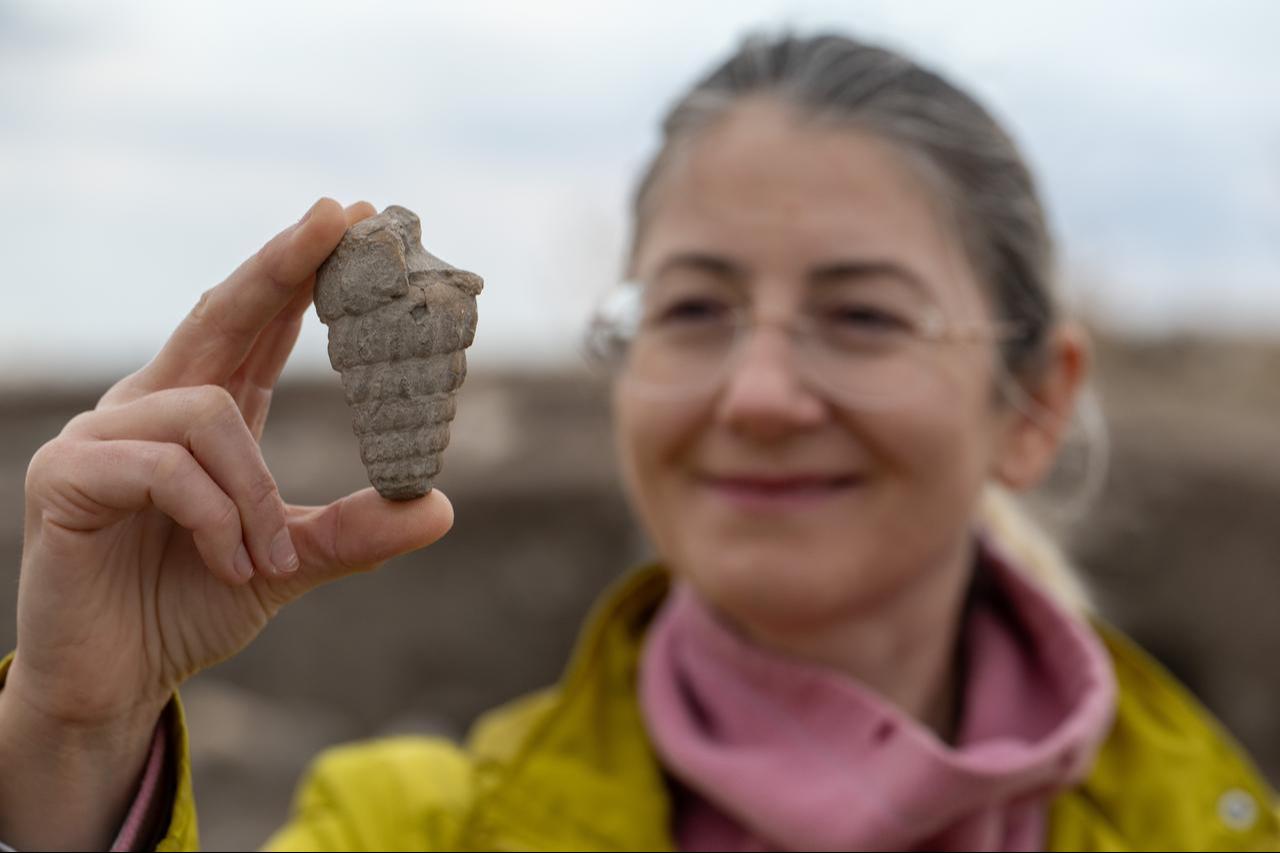 A 66-million-year-old marine fossil and a 4,000-year-old love flower seed unearthed during excavations at Kulhoyuk shed light on the region's natural and cultural history in Golbasi district of Ankara, Türkiye on September 23, 2026. (AA Photo)