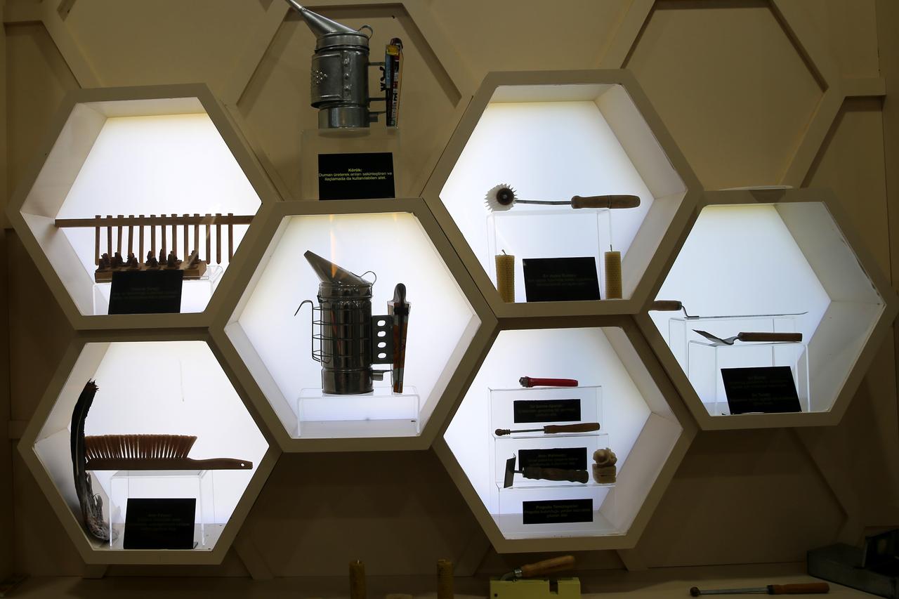 Türkiye opens first bee museum with VR hive tours