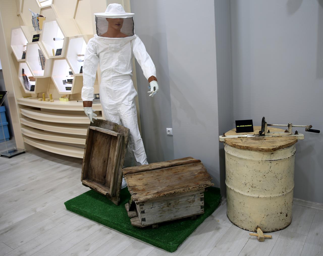 Türkiye's first publicly owned Caucasian Bee Museum, established roughly two years ago in Ardahan to raise awareness about beekeeping and bee products, has welcomed 4,600 visitors. (AA Photo)