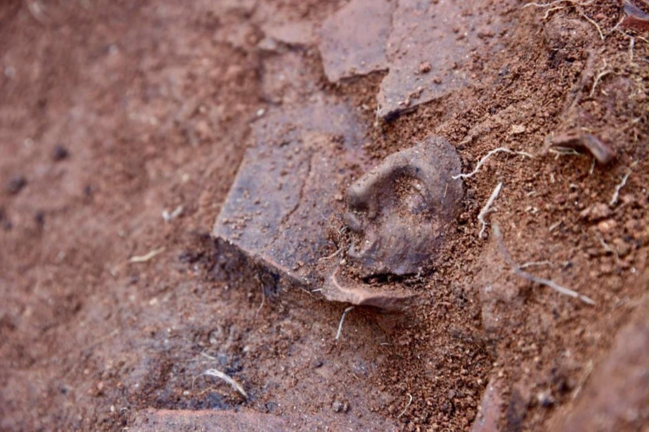 New Dionysos cult areas uncovered at 2,300-year-old castle in Türkiye's Ordu