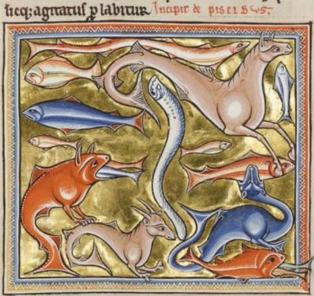 An illustration of fish and other creatures from the medieval Ashmole Bestiary, preserved in the Bodleian Library, offers insight into animal symbolism in Christian literature. (Bodleian Library, MS. Ashmole 1511, fol. 86r)
