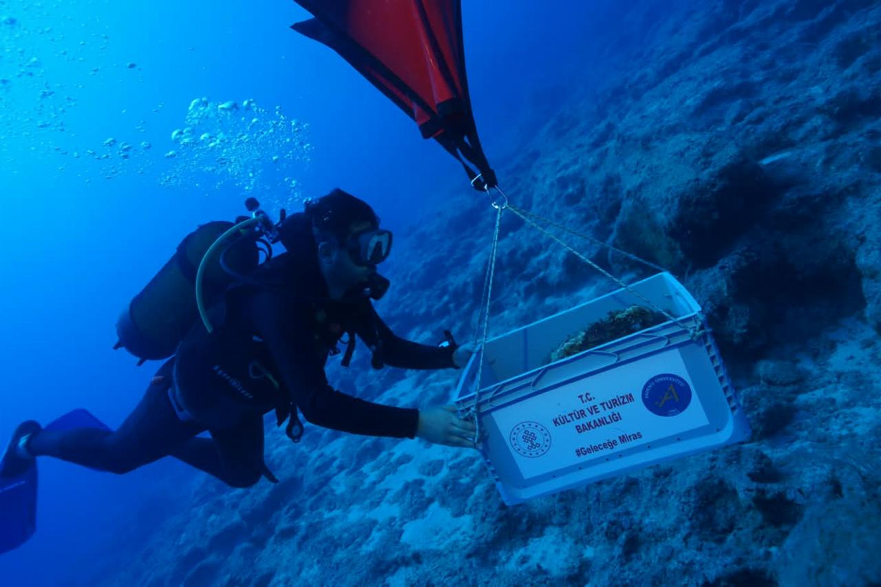 World's oldest shipwreck uncovered off Türkiye's Mediterranean coast