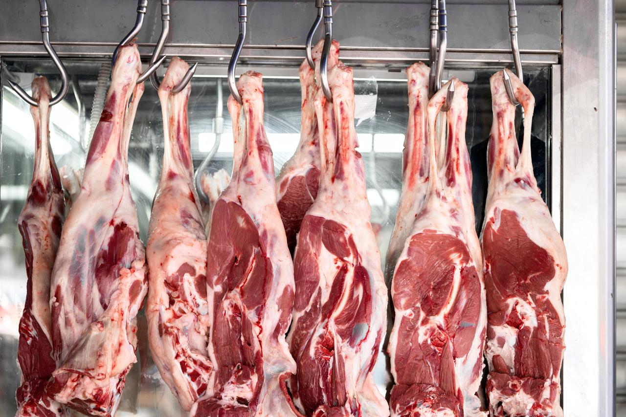 Raw meat carcasses hang on hooks at a butcher shop, as Türkiye's red meat industry faces challenges over production costs, efficiency and high retail prices. (Adobe Stock Photo)