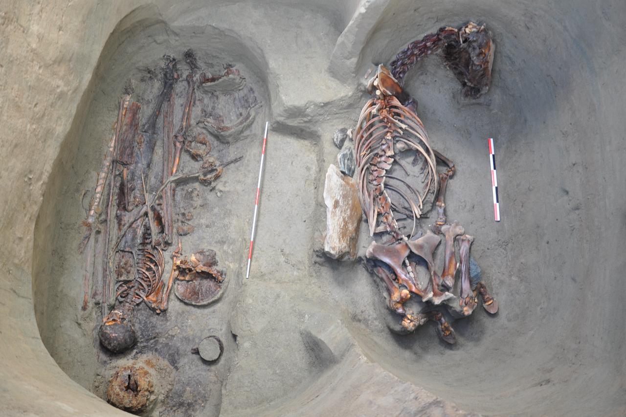 Buried together for eternity: The sacred bond between Turkic warriors and horses