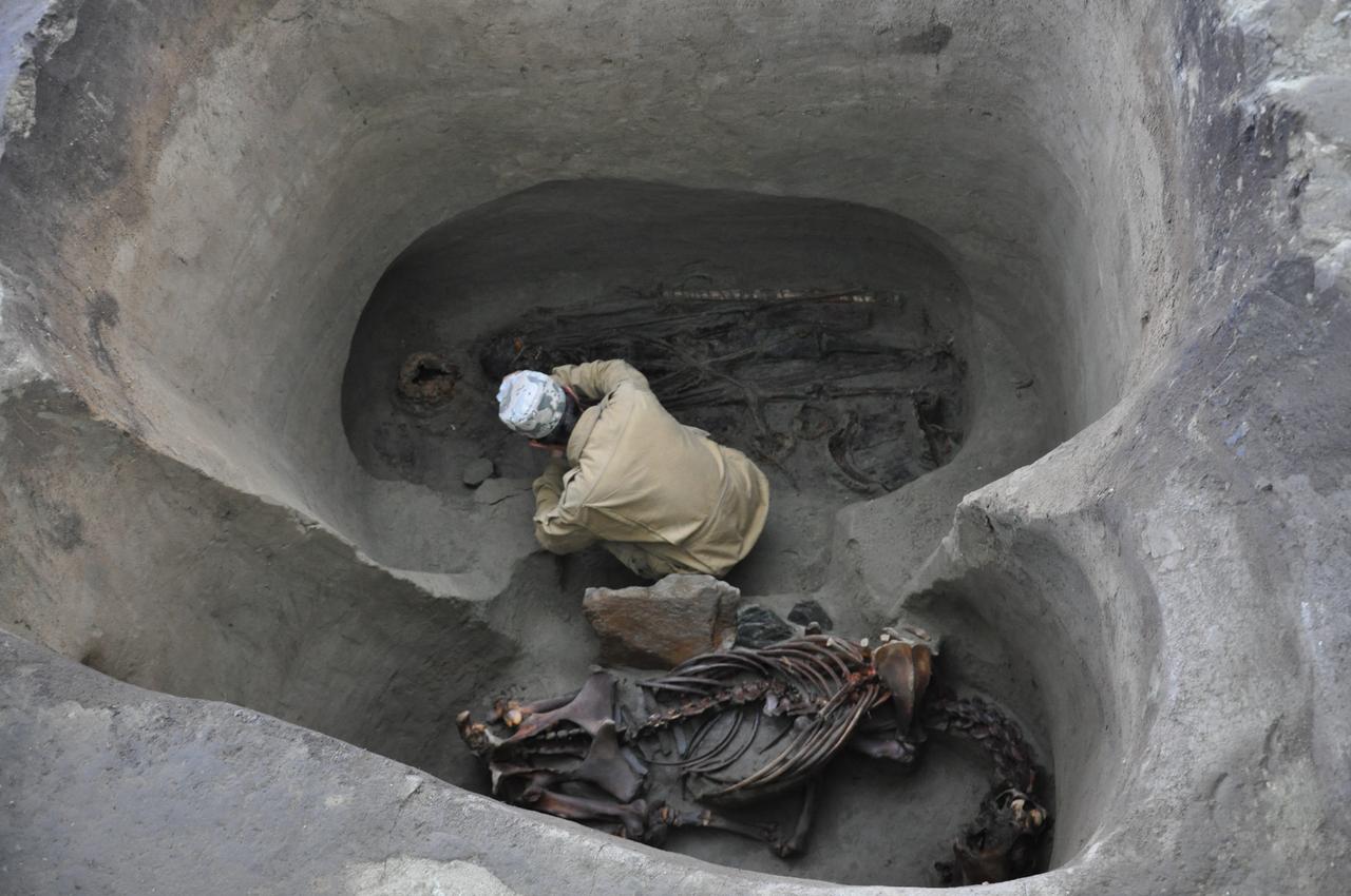 An archaeologist examines the remains of a 7th-century Turkic warrior buried alongside his horse during excavations of an intact burial site in the Altai Mountains of East Kazakhstan. (Photo via Tengrinews)