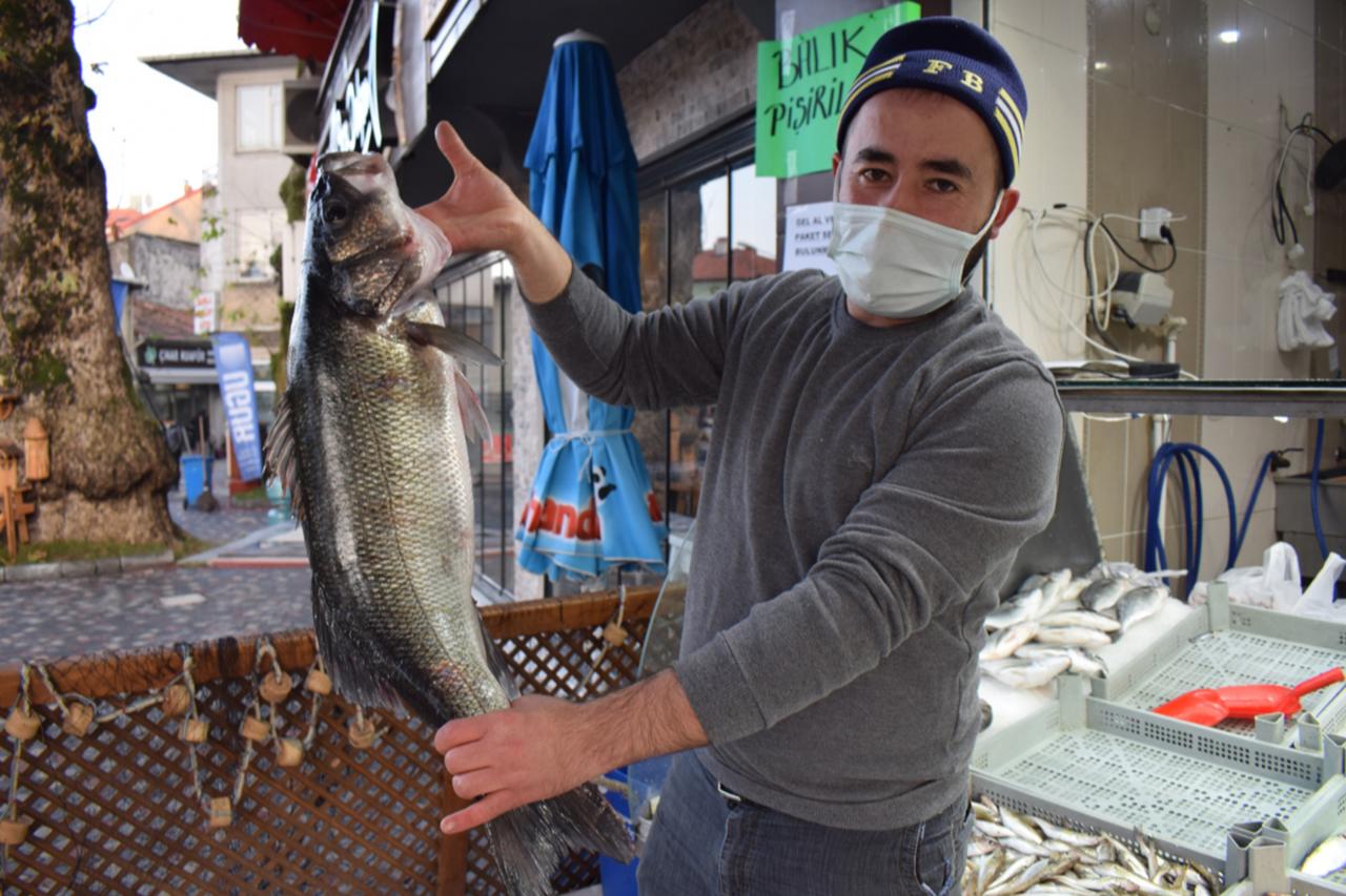 Mugla seafood exports top $630 million in 9 months