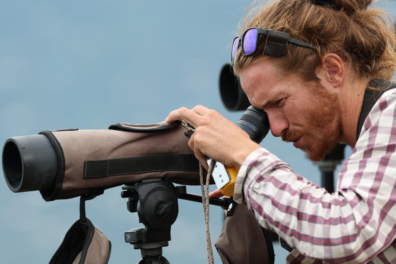 One million raptors pass Georgia’s coast while hunters fire below