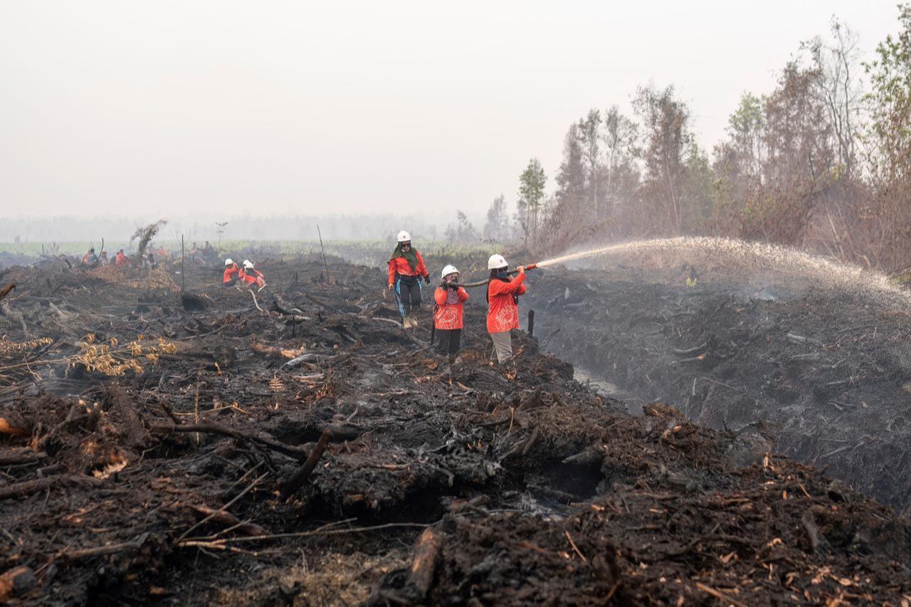Members of the all-women The Power of Mama (TPoM) volunteer firefighting team spray water onto smouldering peatland in Mensubuk Lama, Tanjungpura Village, Ketapang Regency, West Kalimantan on Sept. 26, 2026. (AFP Photo)
