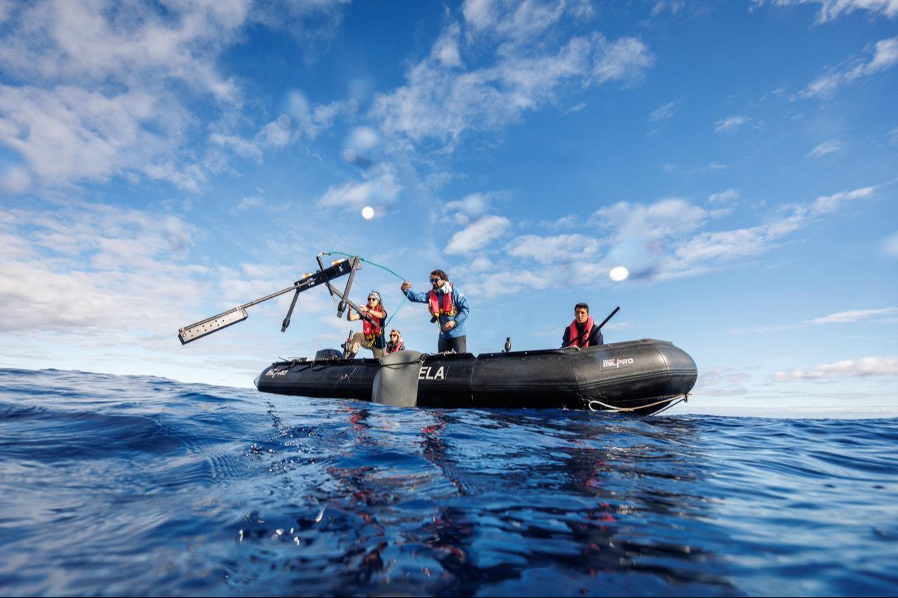 Two scuba divers equipped with underwater cameras swim beneath the ocean surface during a marine research dive off the coast of Portugal, Oct. 18, 2026. (AFP Photo)