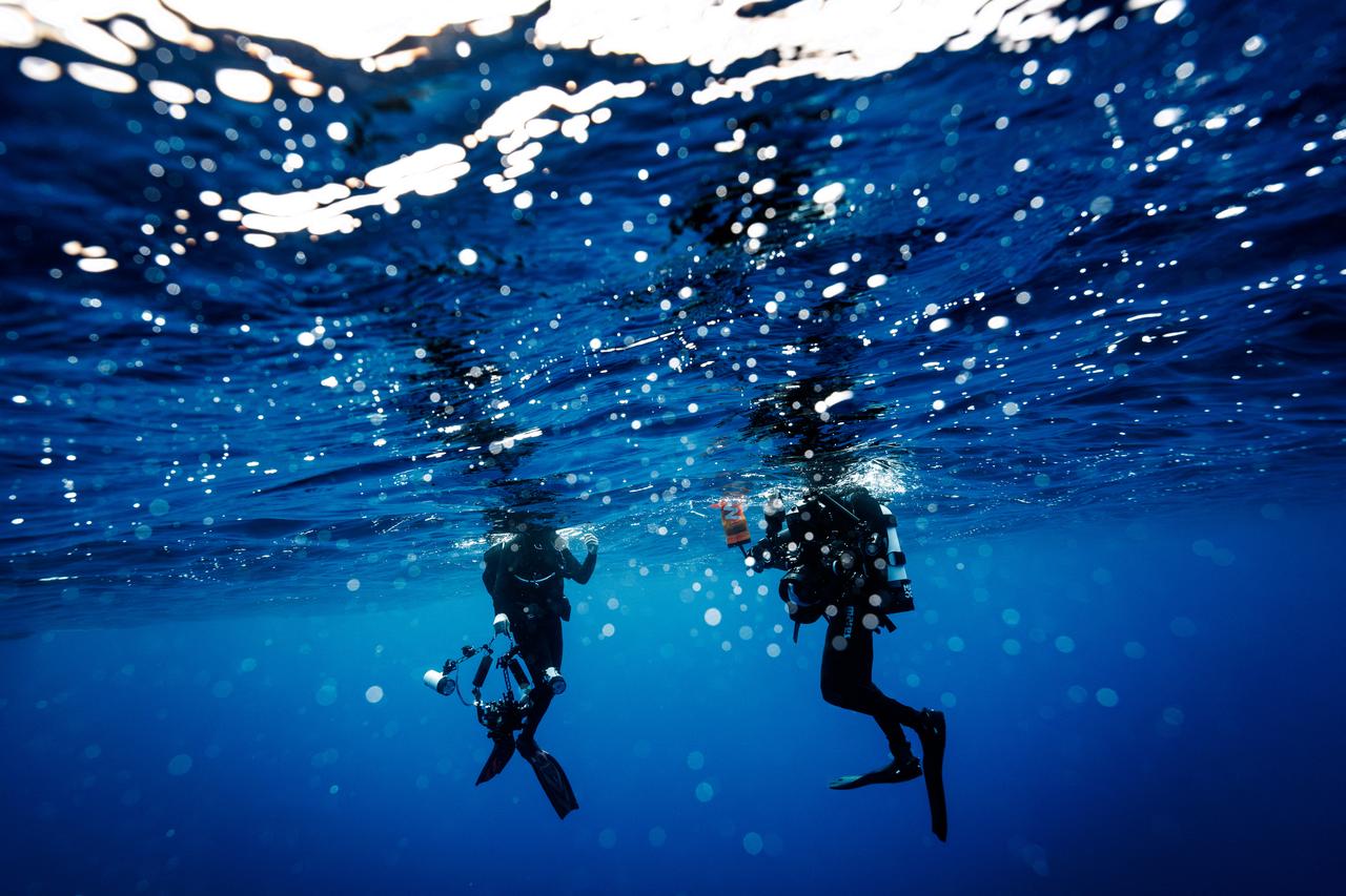 Two scuba divers equipped with underwater cameras swim beneath the ocean surface during a marine research dive off the coast of Portugal, Oct. 18, 2026. (AFP Photo)