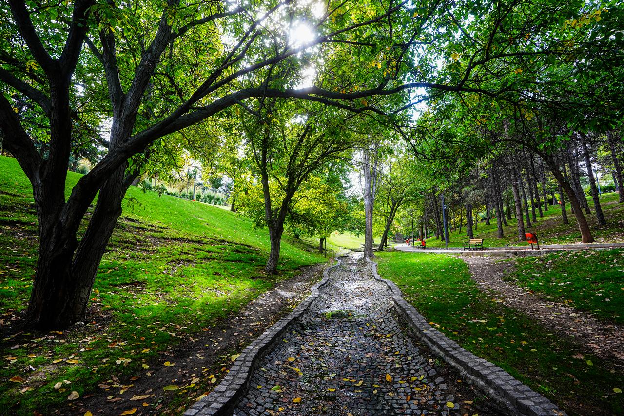 A general view of Segmenler Park, one of the city's popular green spaces in Ankara's Cankaya district, Türkiye, on Oct. 2, 2026. (AA Photo)